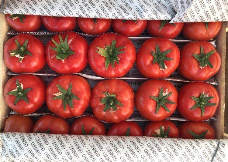 Фото 5. Продаем свежие помидоры/томаты оптом