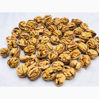 Продаем грецкий орех (Wallnuts in shell) и ядро грецкого ореха