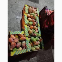 Лук Чеснок Картошка свежие овощи и фрукты из Египта