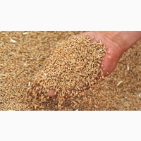 Продам пшеницу 3 класс мягких сортов