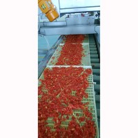 Сушеные помидоры (томаты) оптом в Узбекистане