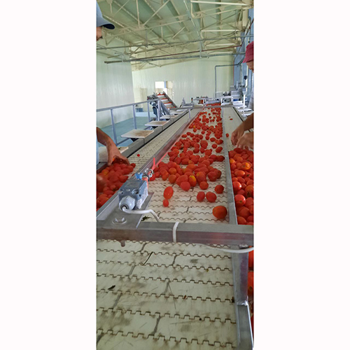 Фото 4. Сушеные помидоры (томаты) оптом в Узбекистане