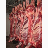 Оптовые поставки мяса говядины в позициях (Украина)