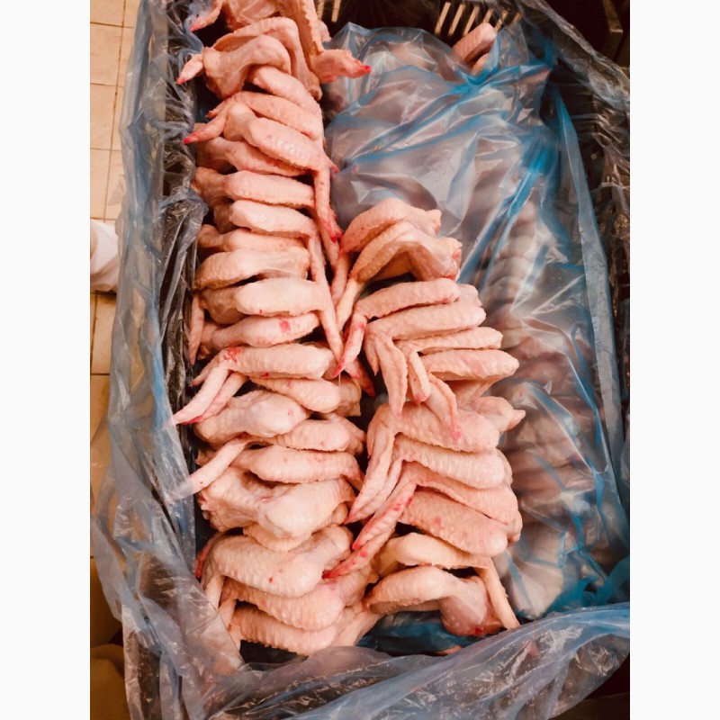Фото 11. Продам замороженные и охоложденные части курицы от Венгерского производителя с Украины