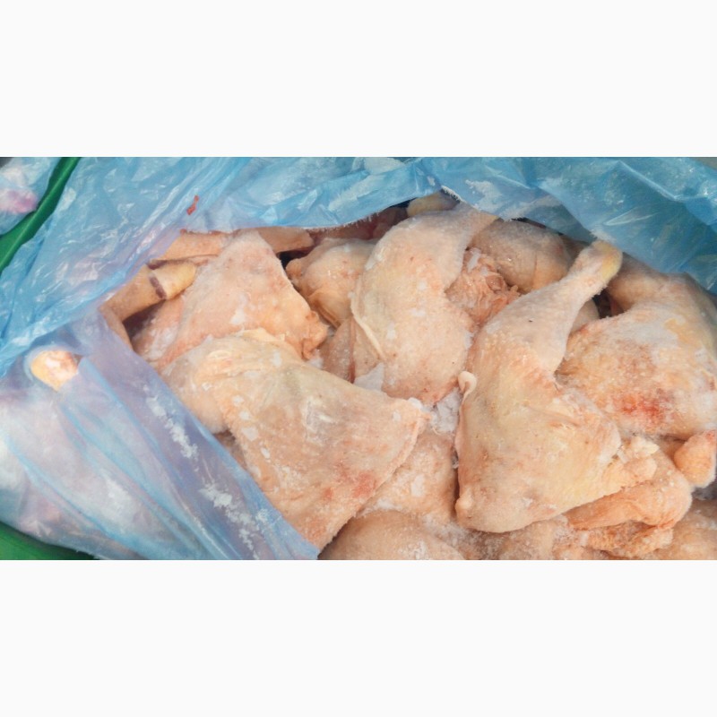Фото 13. Продам замороженные и охоложденные части курицы от Венгерского производителя с Украины