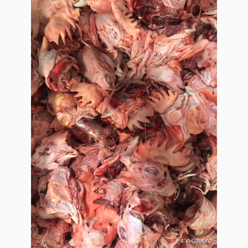 Фото 4. Продам замороженные и охоложденные части курицы от Венгерского производителя с Украины