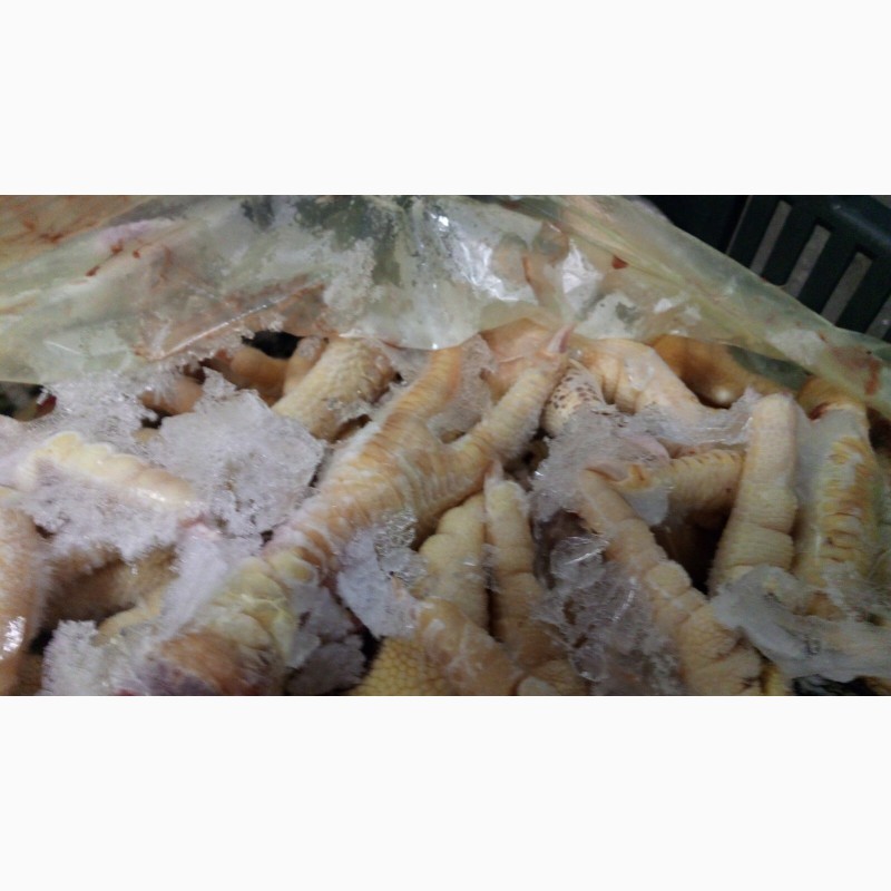 Фото 9. Продам замороженные и охоложденные части курицы от Венгерского производителя с Украины