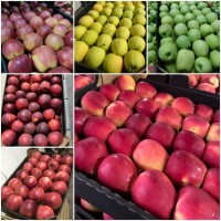 Продаем украинские яблоки оптом с доставкой