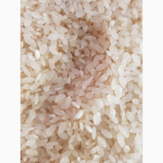Продам рис