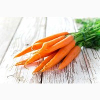 Экспорт морковь из Узбекистана