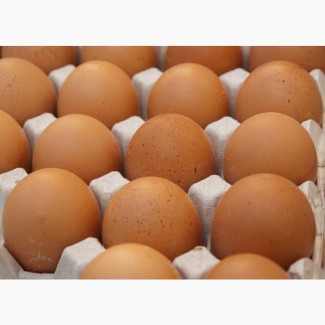 Яйца Куриные