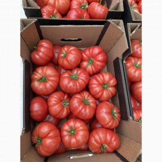 Закупаю овощи урожай 2021г: морковь, свёкла, баклажаны, перец, томат и тд
