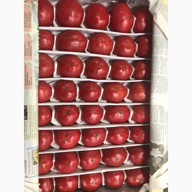 Фото 15. Продам помидоры розовый красный оптом