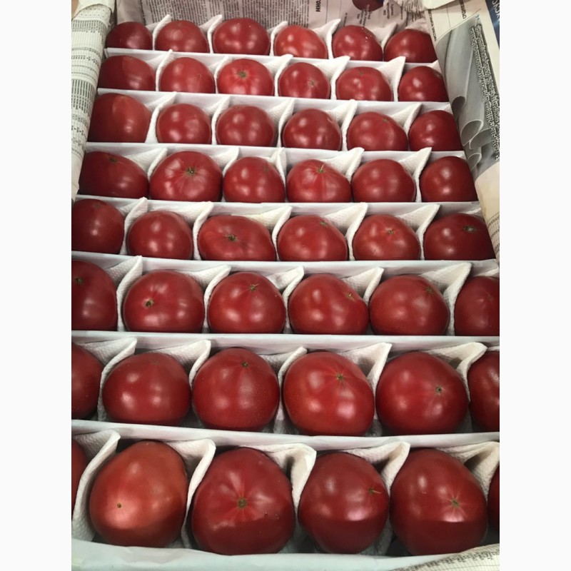 Фото 8. Продам помидоры розовый красный оптом