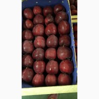 Продам украинские яблоки