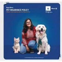 Полис страхования домашних животных