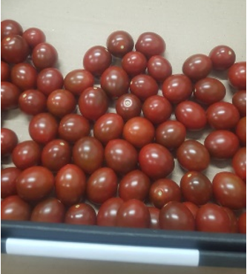 Фото 4. Продам томаты чери оптом