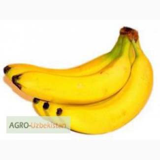 Продажа бананов декоративных