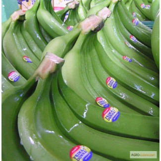 Бананы зеленые продажа