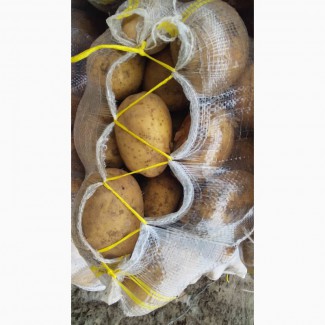 Доставка картофеля из ирана в узбекистан