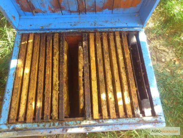 Фото 5. Продам вещи для начинающего пчеловода