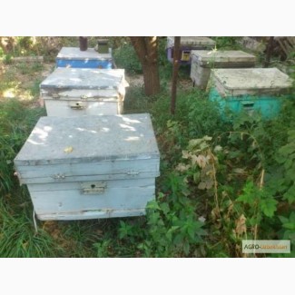 Продам вещи для начинающего пчеловода