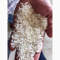 Продам рис оптом по низким ценам