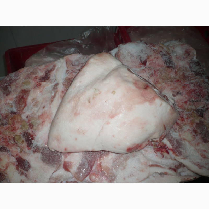 Фото 4. Мясо свинина, шпик, субпродукты, тримминг Ташкент