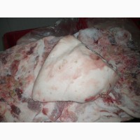 Мясо свинина, шпик, субпродукты, тримминг Ташкент