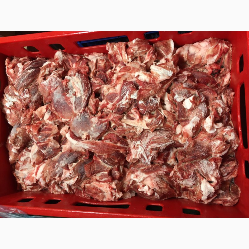 Фото 5. Мясо свинина, шпик, субпродукты, тримминг Ташкент