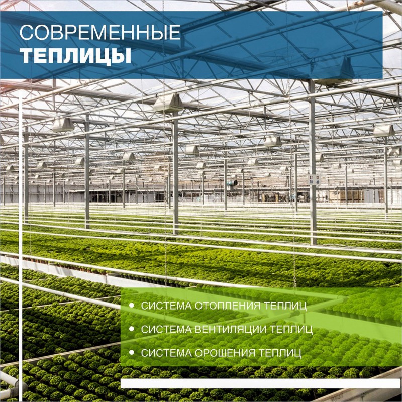 Фото 4. OSC Royal Greenhouses - Европейские теплицы Под Ключ