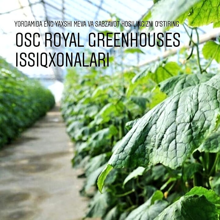 Фото 2. OSC Royal Greenhouses - Европейские теплицы Под Ключ