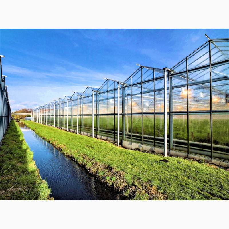 Фото 3. OSC Royal Greenhouses - Европейские теплицы Под Ключ