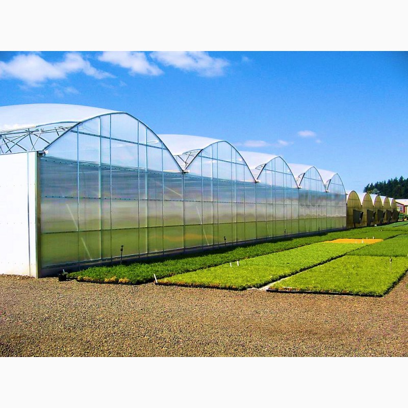Фото 5. OSC Royal Greenhouses - Европейские теплицы Под Ключ