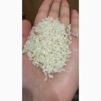 Продам рис оптом