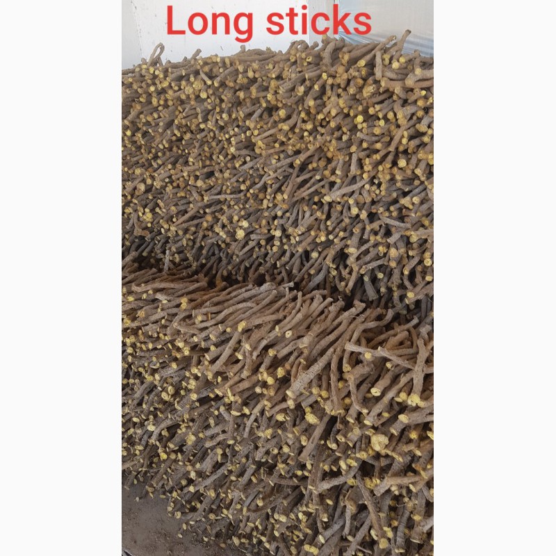 Фото 2. Licorice Roots (Growers, Processors Exporters)