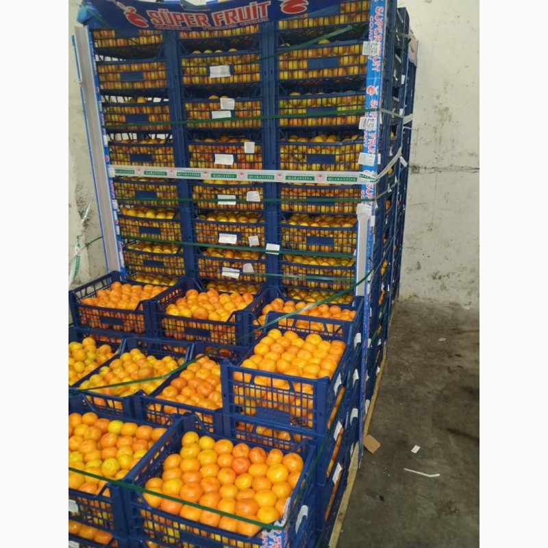 Фото 5. Продам мандарины с 20 тонн. С Кыргызтана
