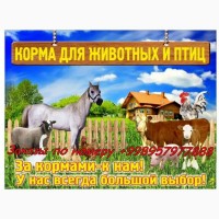 Комбикорм от производителя