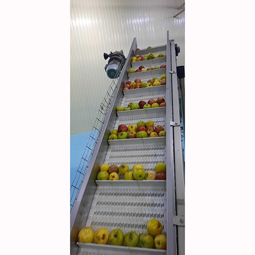 Фото 2. Сушеные яблоки оптом от производителя в Узбекистане