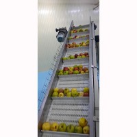 Сушеные яблоки оптом от производителя в Узбекистане