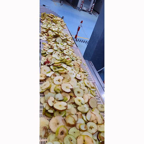 Фото 6. Сушеные яблоки оптом от производителя в Узбекистане