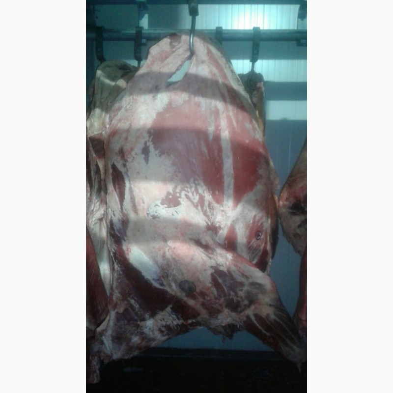 Фото 3. Мясо Говядины замороженное